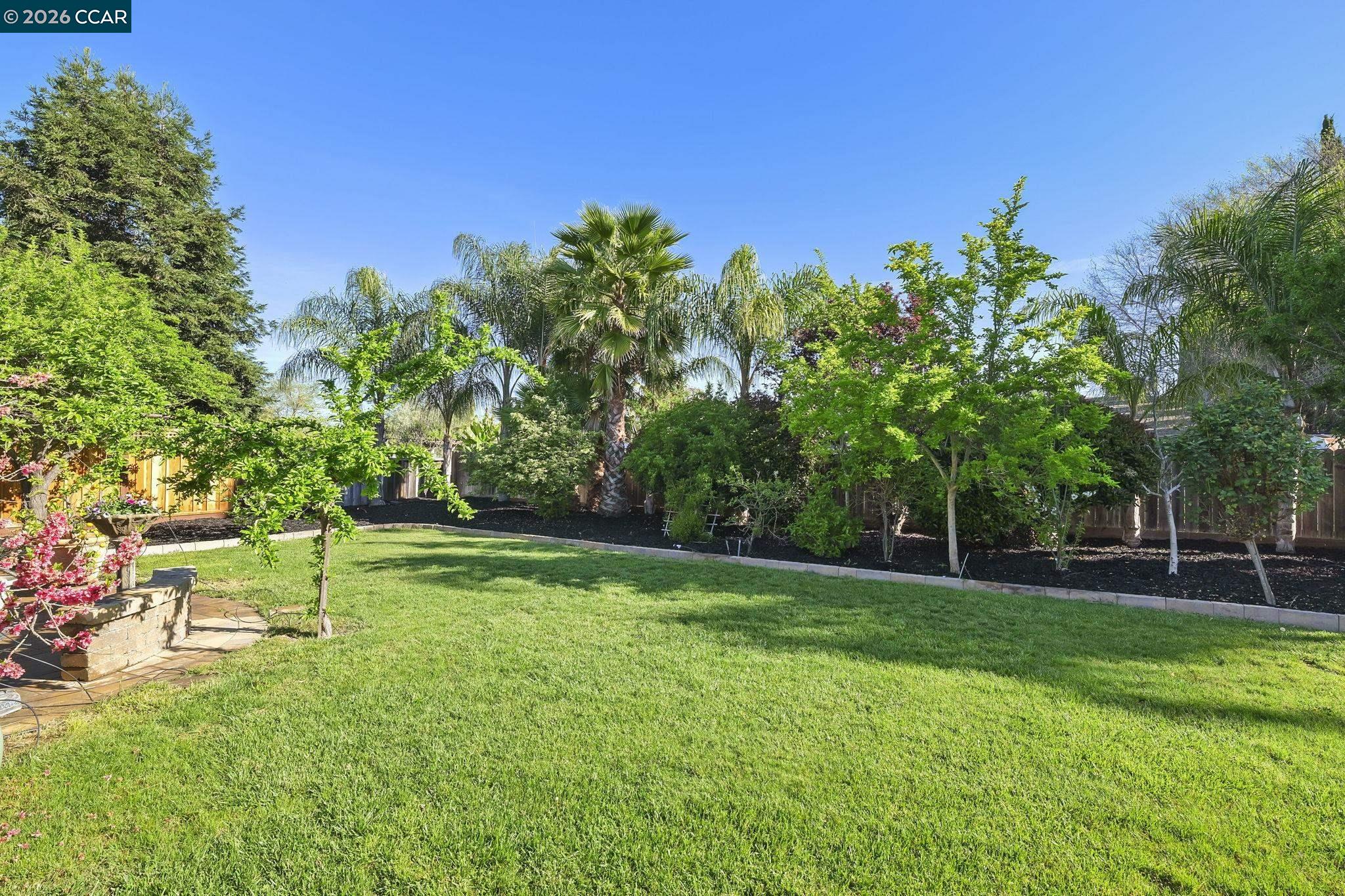 4151 Storey Lane Concord, CA 94518 - Photo 40 of 40 a view of a park with large trees