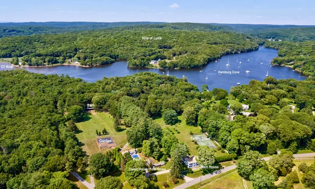 a view of a garden with plants