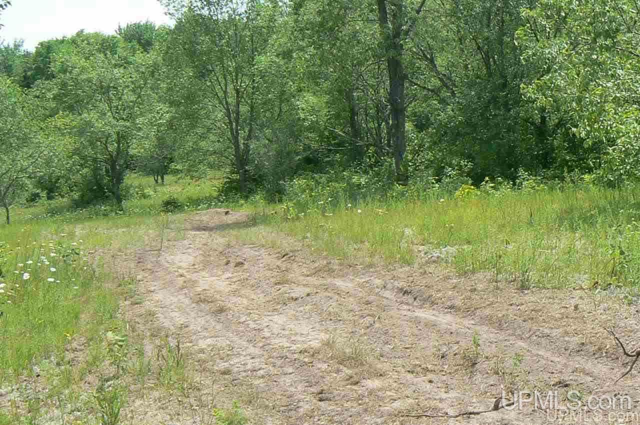 Tbd Finn's Spur Road Eben Junction, MI 49825 - Photo 3 of 7