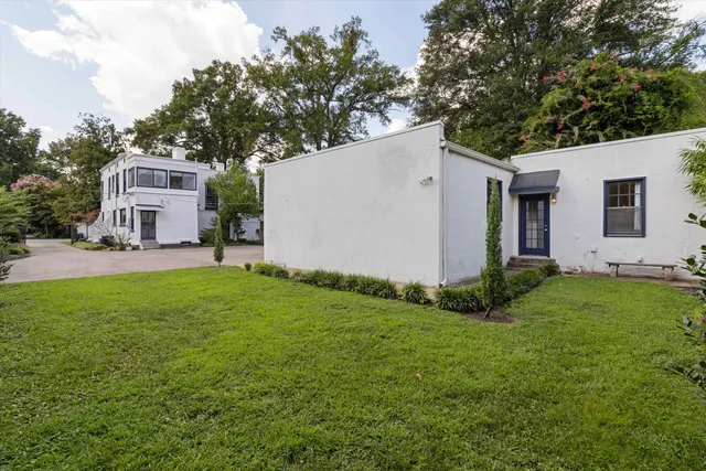 a view of a backyard with potted plants and large tree