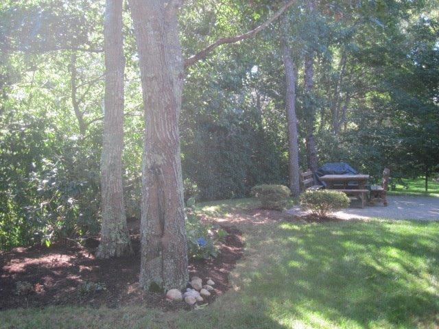 13 Elizabeth Road Harwich, MA 02645 - Photo 5 of 34 Additional Photo
