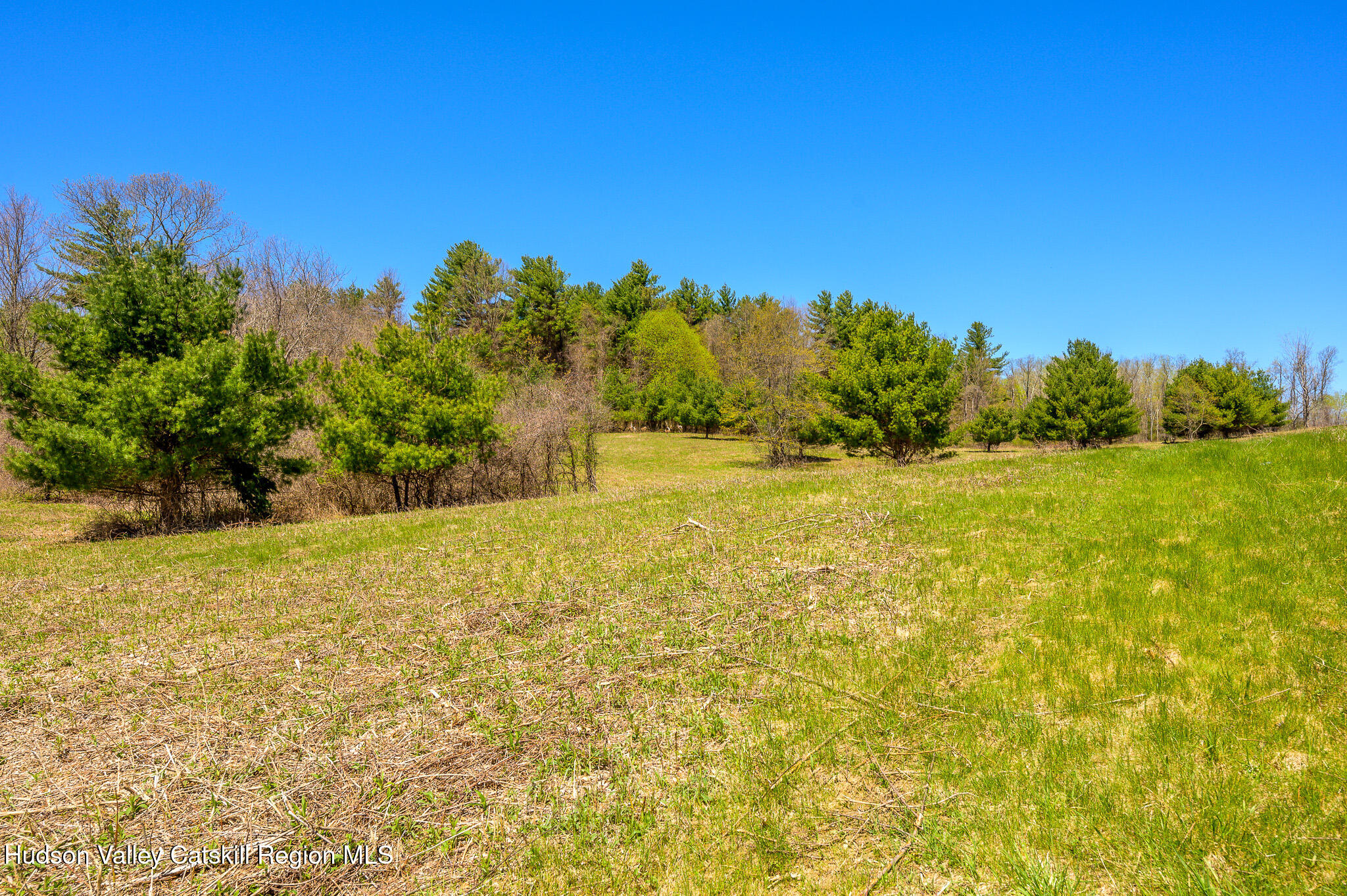 0 Mitchell Street Hillsdale, NY 12529 - Photo 15 of 31 *
