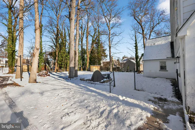 a view of a backyard with a large tree
