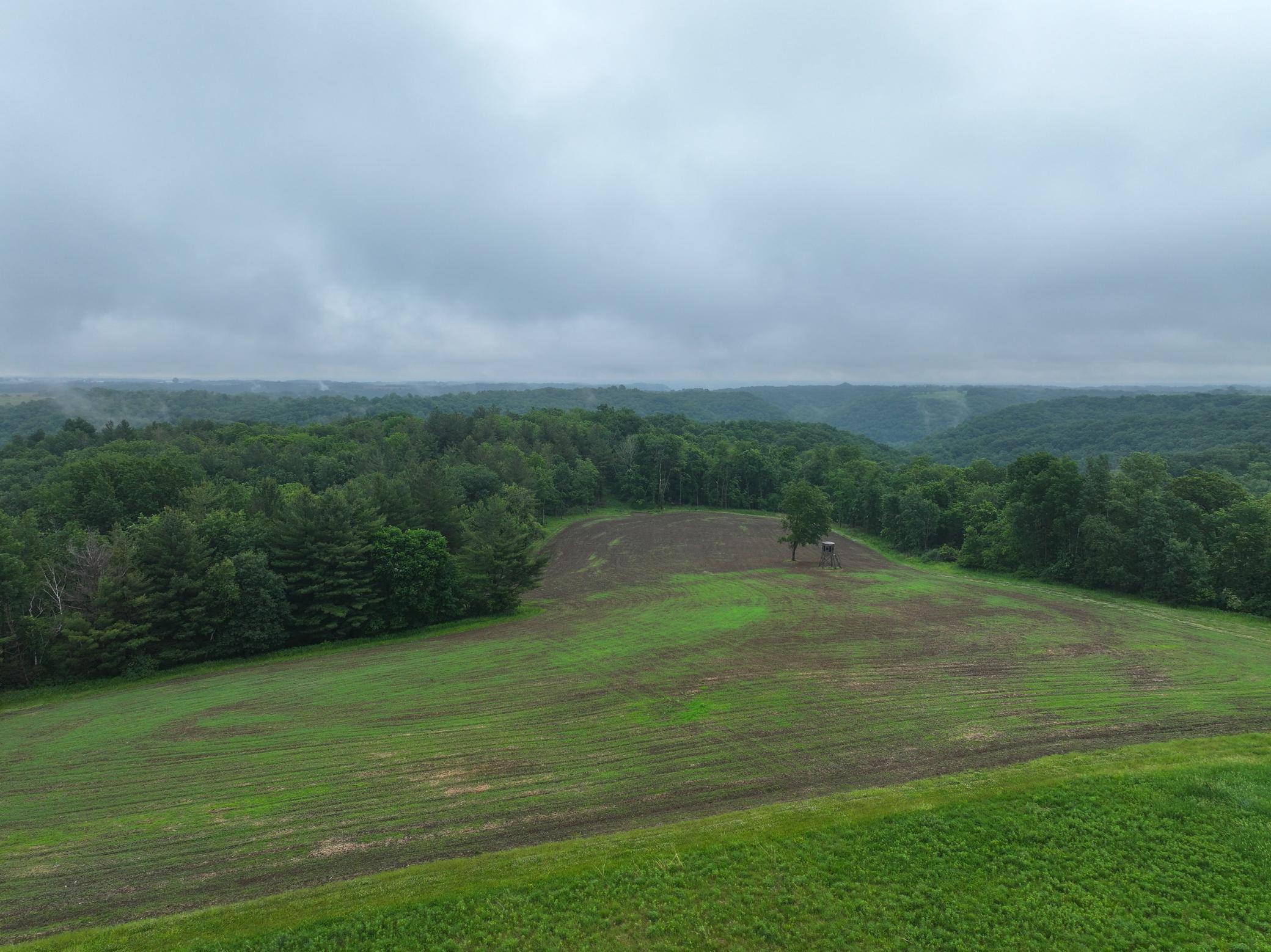 11719 Ridgeview Road Hokah, MN 55941 - Photo 44 of 90