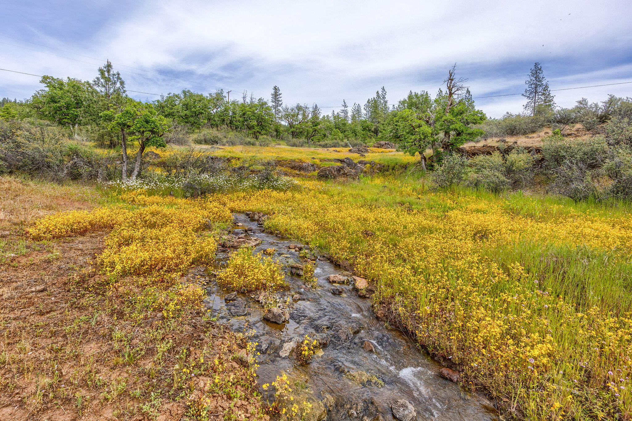 1250 Netherlands Road Trail, OR 97541 - Photo 43 of 50 43-Landscape