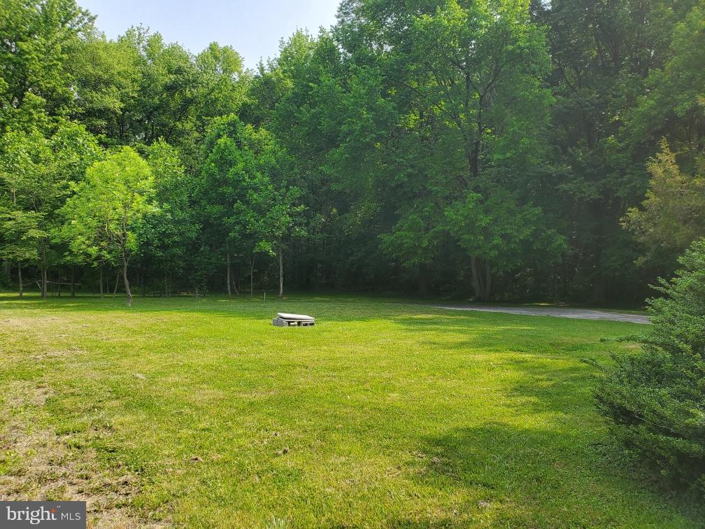 1303 Caldwell Corner Road Townsend, DE 19734 - Photo 7 of 9 a view of a field with a trees