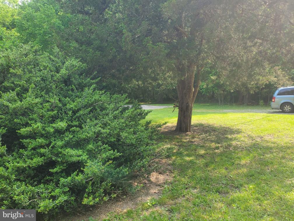 1303 Caldwell Corner Road Townsend, DE 19734 - Photo 8 of 9 a view of a yard with a tree