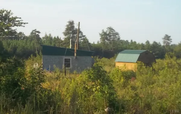a view of a garden from a lake