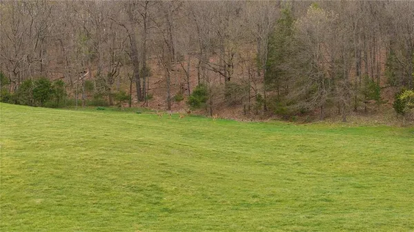 $725,000 | 21150 Farm Road 2020, Crane, MO 65633