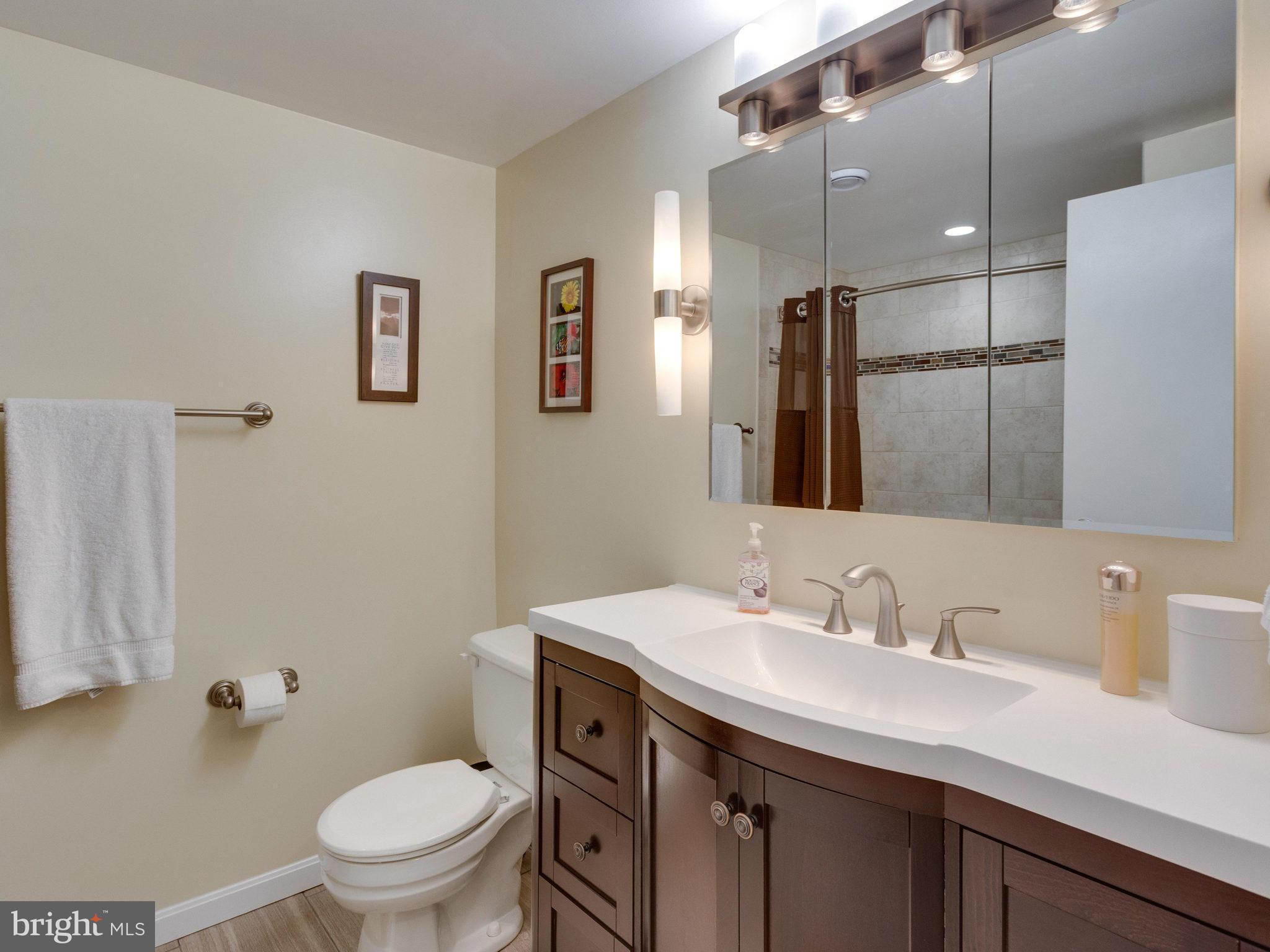 7314 Husky Lane Springfield, VA 22151 - Photo 22 of 30 Hall bath