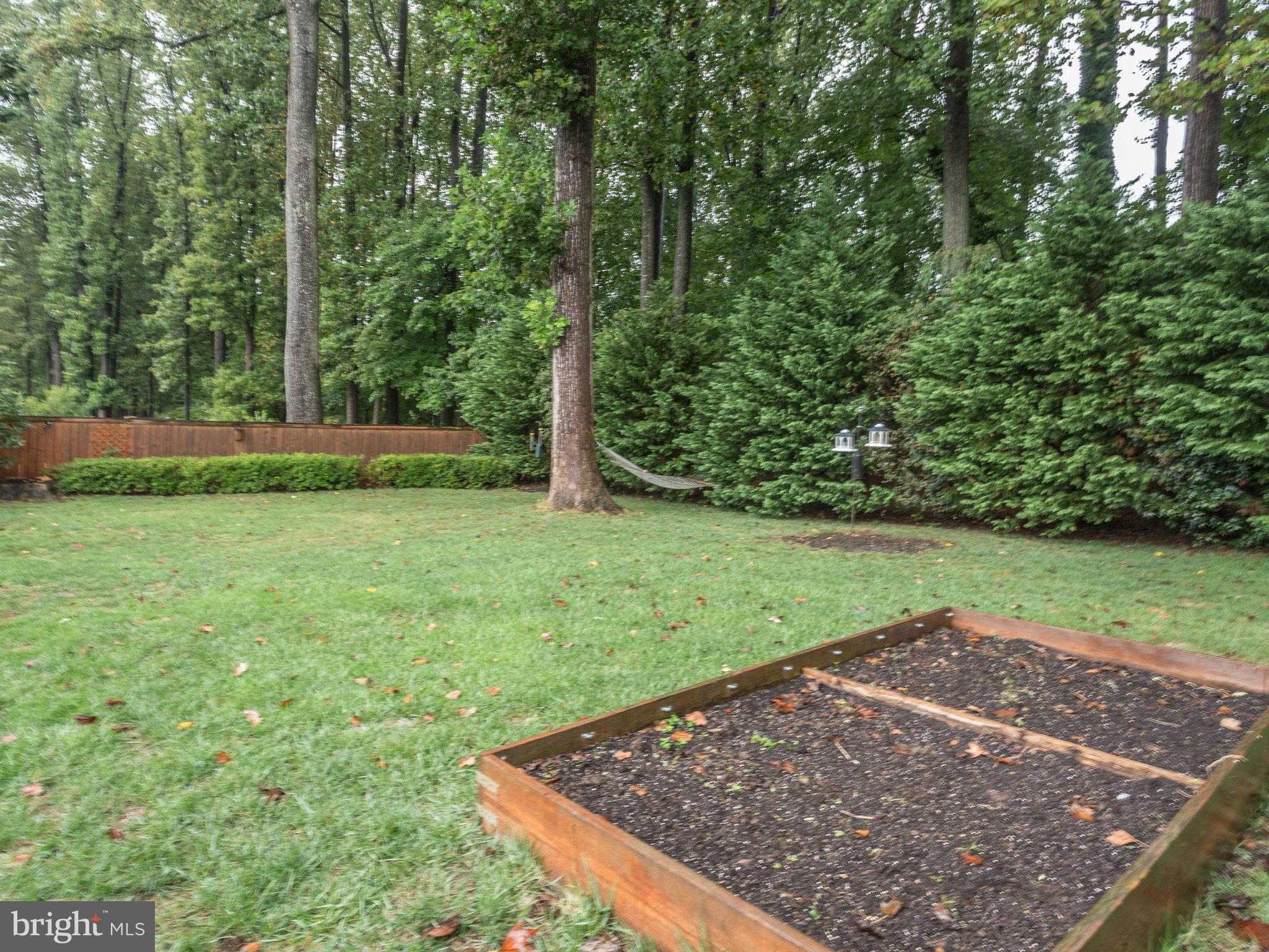 7314 Husky Lane Springfield, VA 22151 - Photo 27 of 30 Rear yard backing to trees