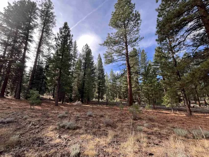 a view of outdoor space with trees