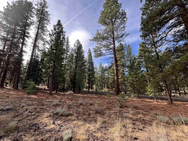 a view of outdoor space with trees
