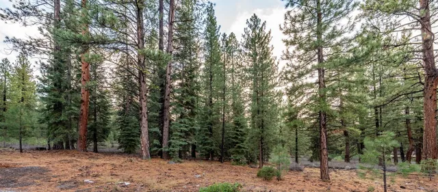 a view of outdoor space and green space