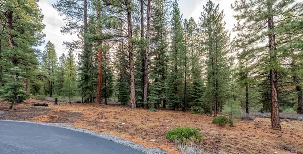 a backyard of a house with trees