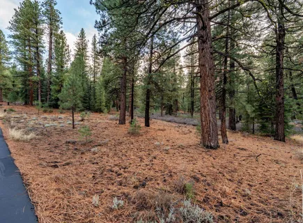 a backyard of a house with lots of trees