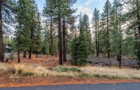a view of outdoor space with trees