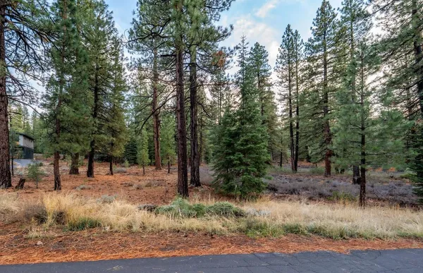 a view of outdoor space with trees