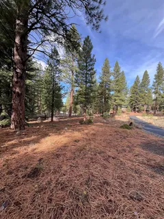 a view of backyard with green space