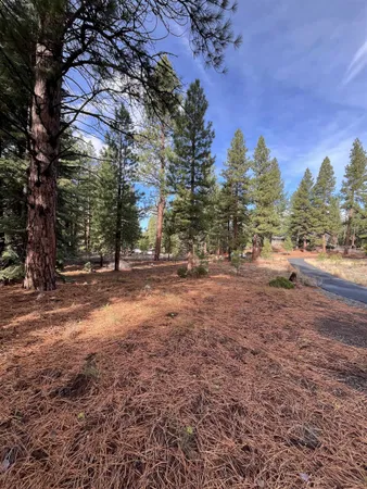 a view of backyard with green space