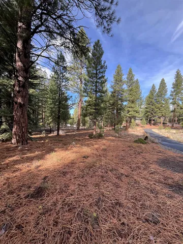 a view of backyard with green space