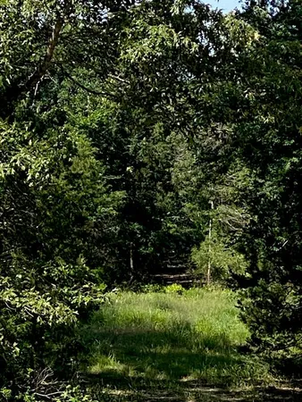 a view of outdoor space and green space