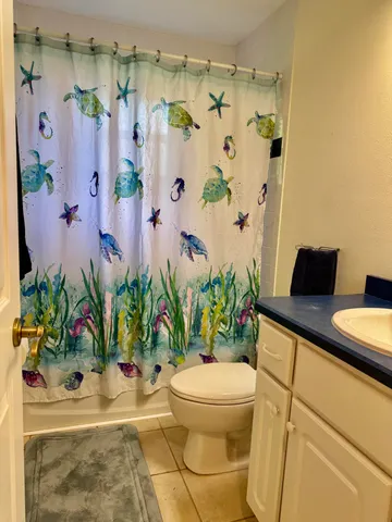 a view of a room with a potted plant and a shower curtain