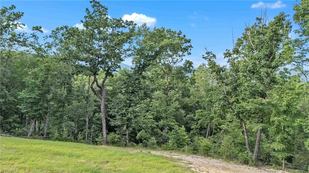 0 Bell Mountain Road Hays, NC 28635 - Photo 11 of 21