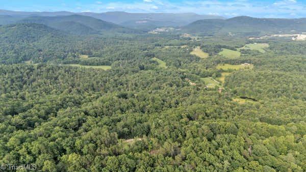 0 Bell Mountain Road Hays, NC 28635 - Photo 12 of 21