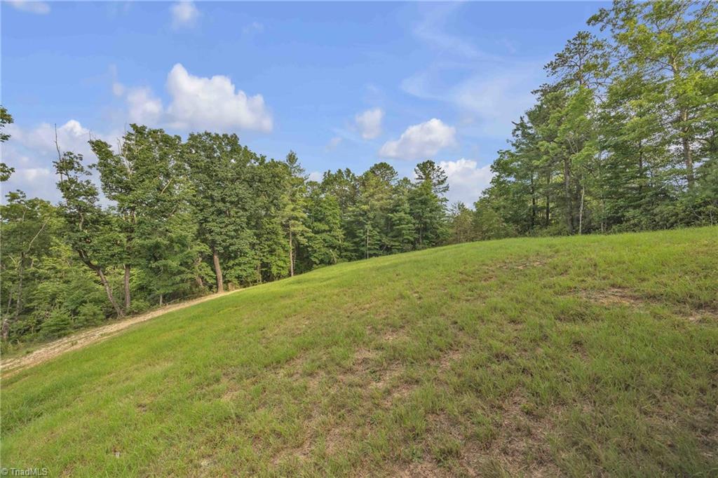 0 Bell Mountain Road Hays, NC 28635 - Photo 17 of 21