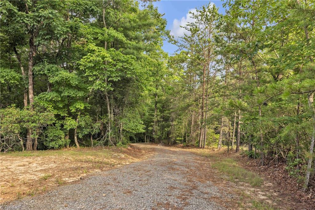 0 Bell Mountain Road Hays, NC 28635 - Photo 19 of 21