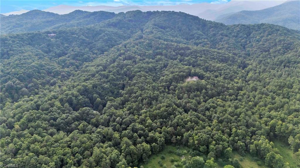 0 Bell Mountain Road Hays, NC 28635 - Photo 2 of 21