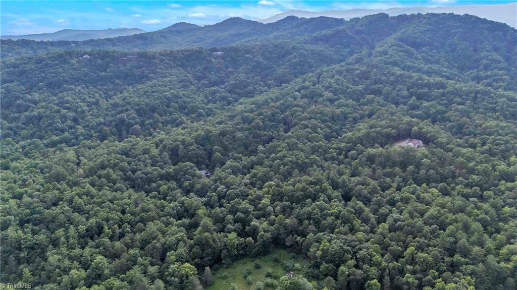 0 Bell Mountain Road Hays, NC 28635 - Photo 3 of 21