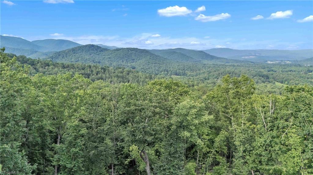 0 Bell Mountain Road Hays, NC 28635 - Photo 6 of 21