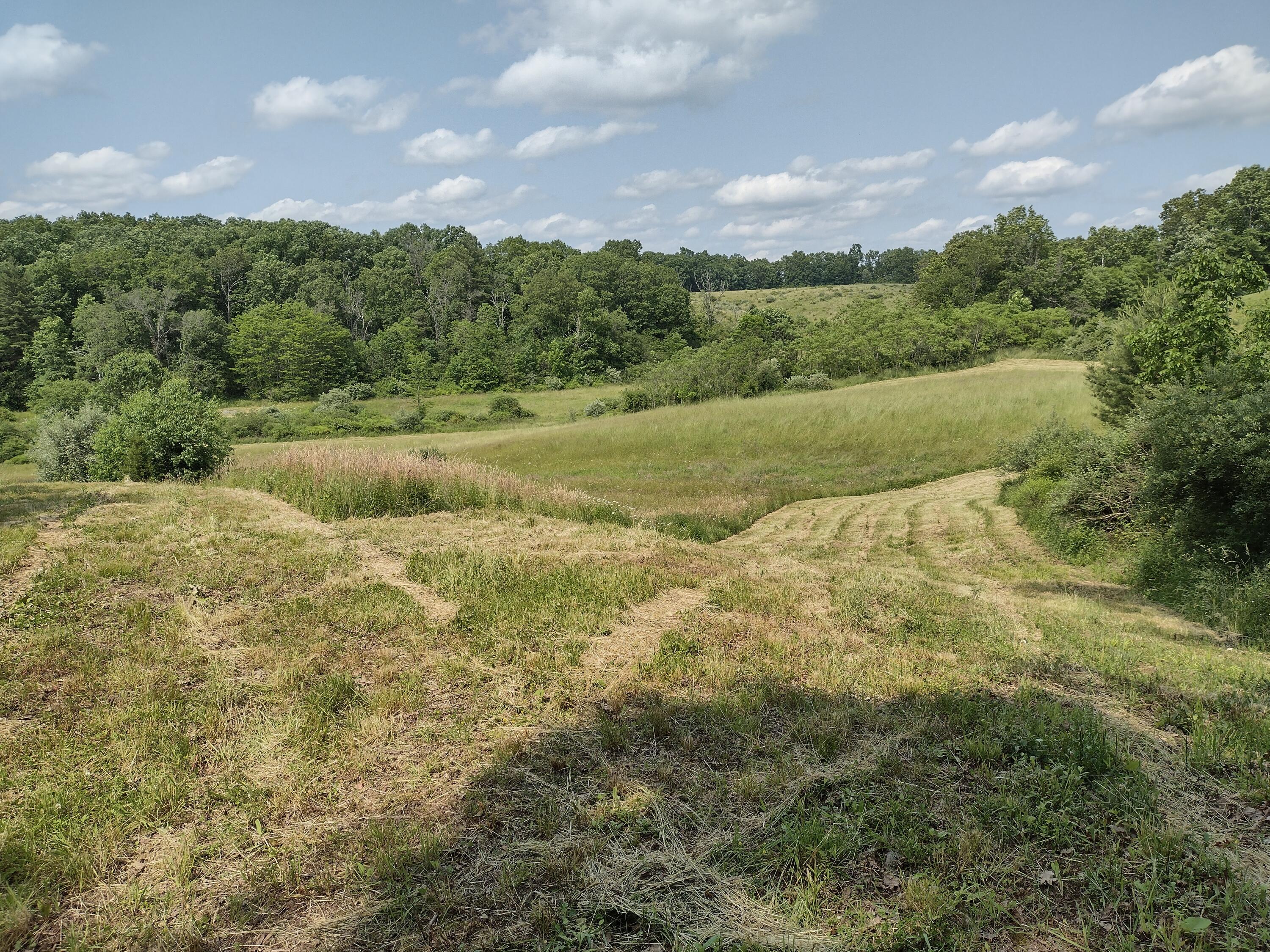 460 Garner Road Frankford, WV 24938 - Photo 65 of 67 Gallery Image 65