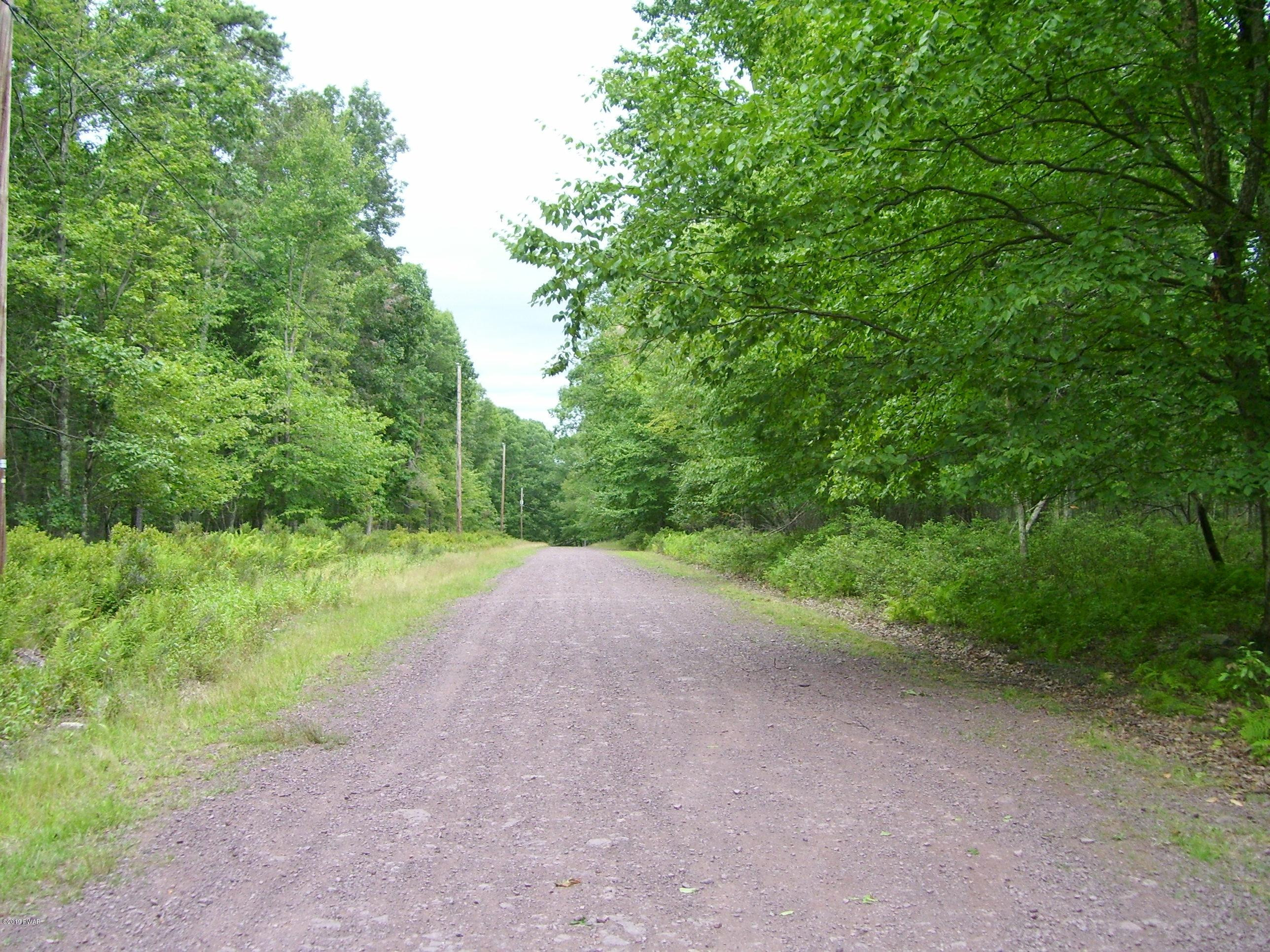 Lot 149 Mountain Top Road Lackawaxen, PA 18435 - Photo 6 of 8
