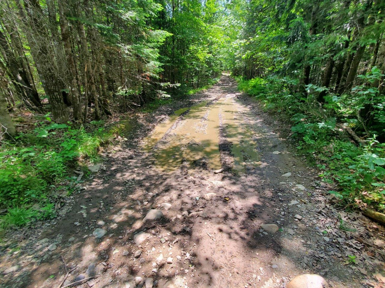 0 Morgan Road Burnham, ME 04922 - Photo 22 of 69 20250617_124007