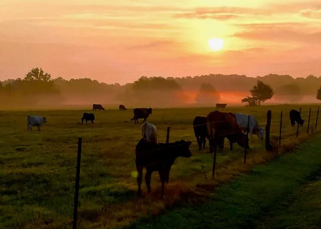 a view of a golf course with a lake