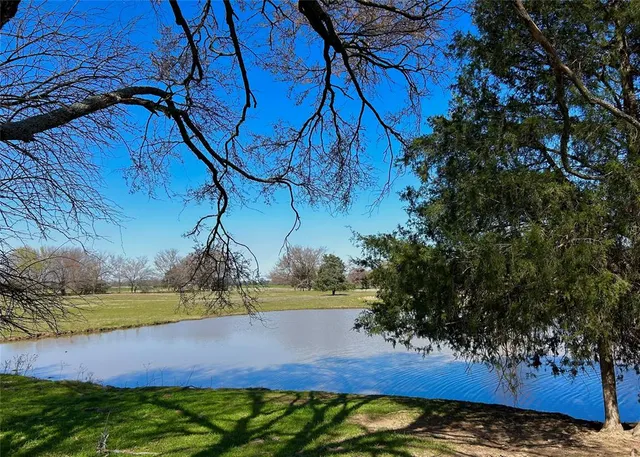 a view of a golf course with a tree