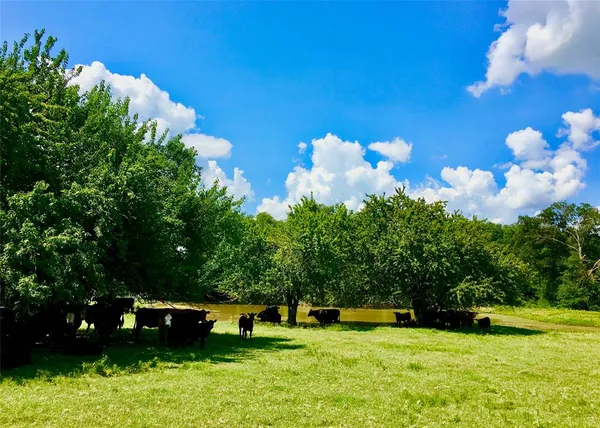 $1,450,000 | 1476 County Road 2130, Telephone, TX 75488