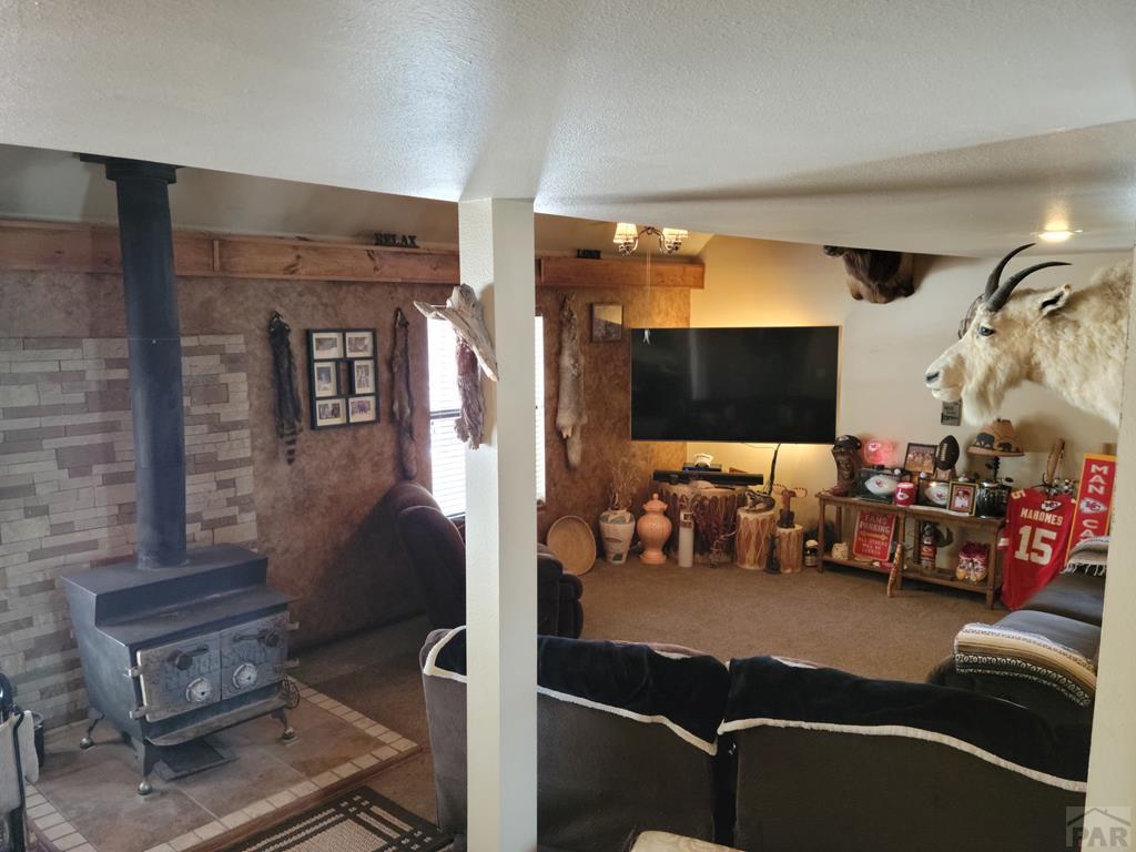 8209 Zorn Road Rye, CO 81069 - Photo 20 of 33 Gallery Image 20