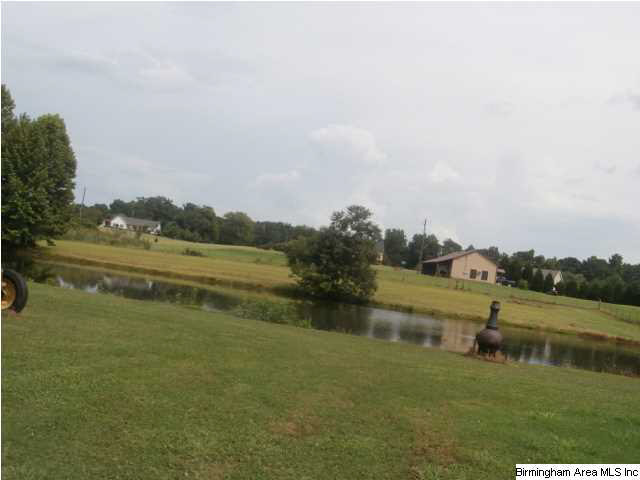 27216 Highway 79 Locust Fork, AL 35097 - Photo 8 of 9