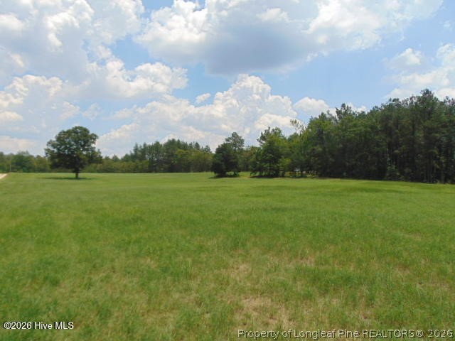 490 Springhill Church Road Hamlet, NC 28345 - Photo 20 of 49 Gallery Image 20
