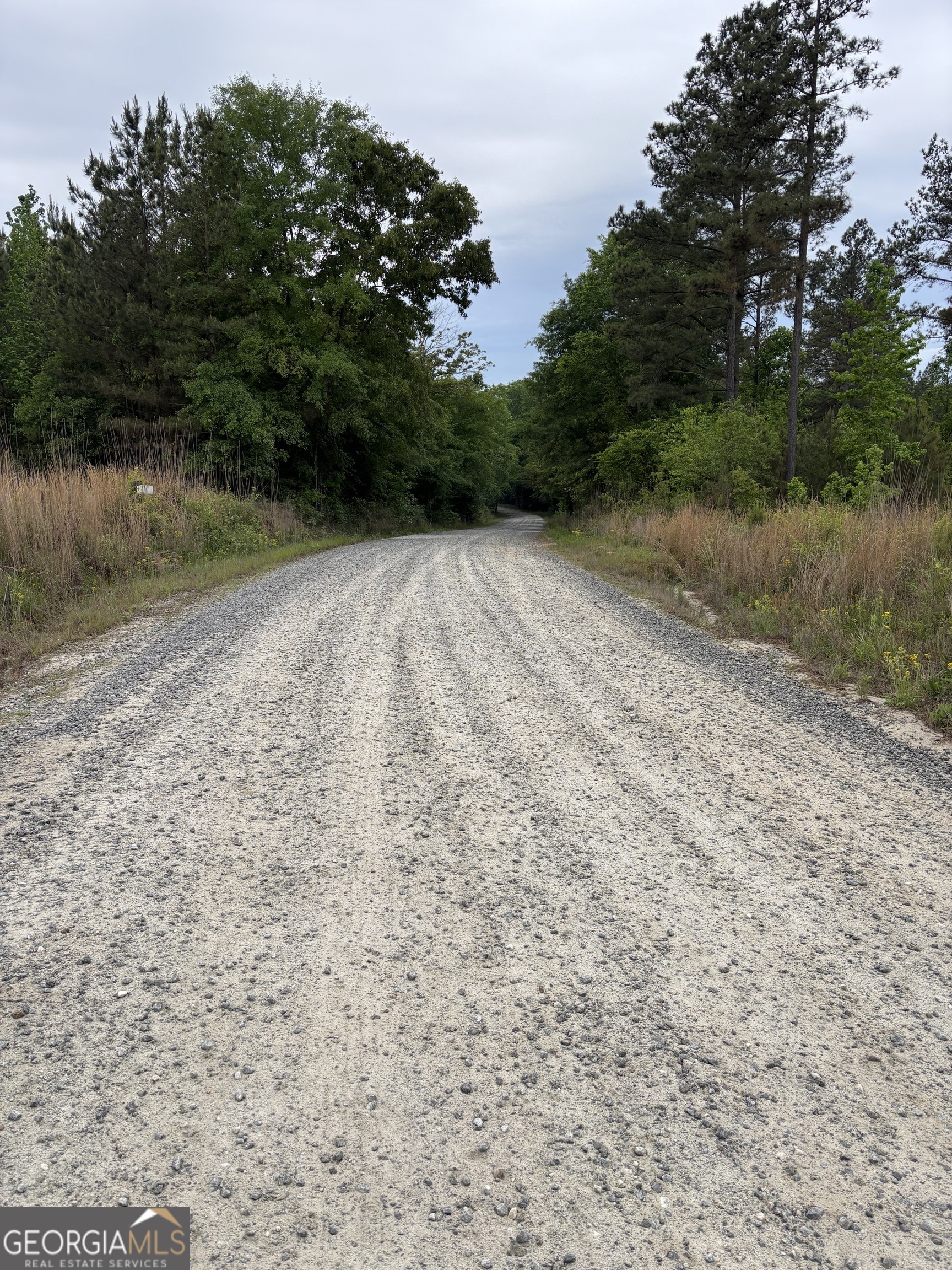 0 Bennett Road Homer, GA 30547 - Photo 2 of 9