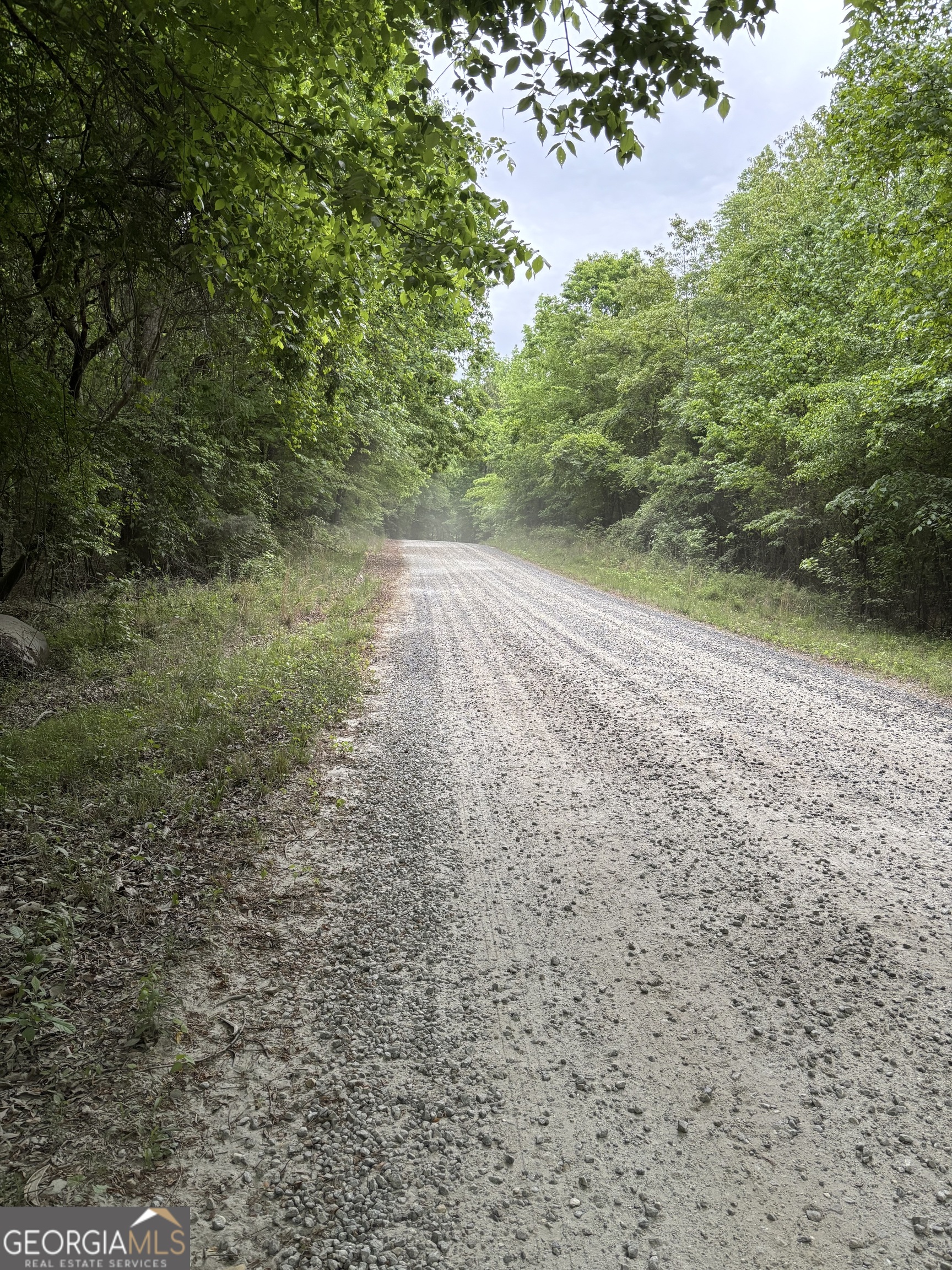 0 Bennett Road Homer, GA 30547 - Photo 3 of 9