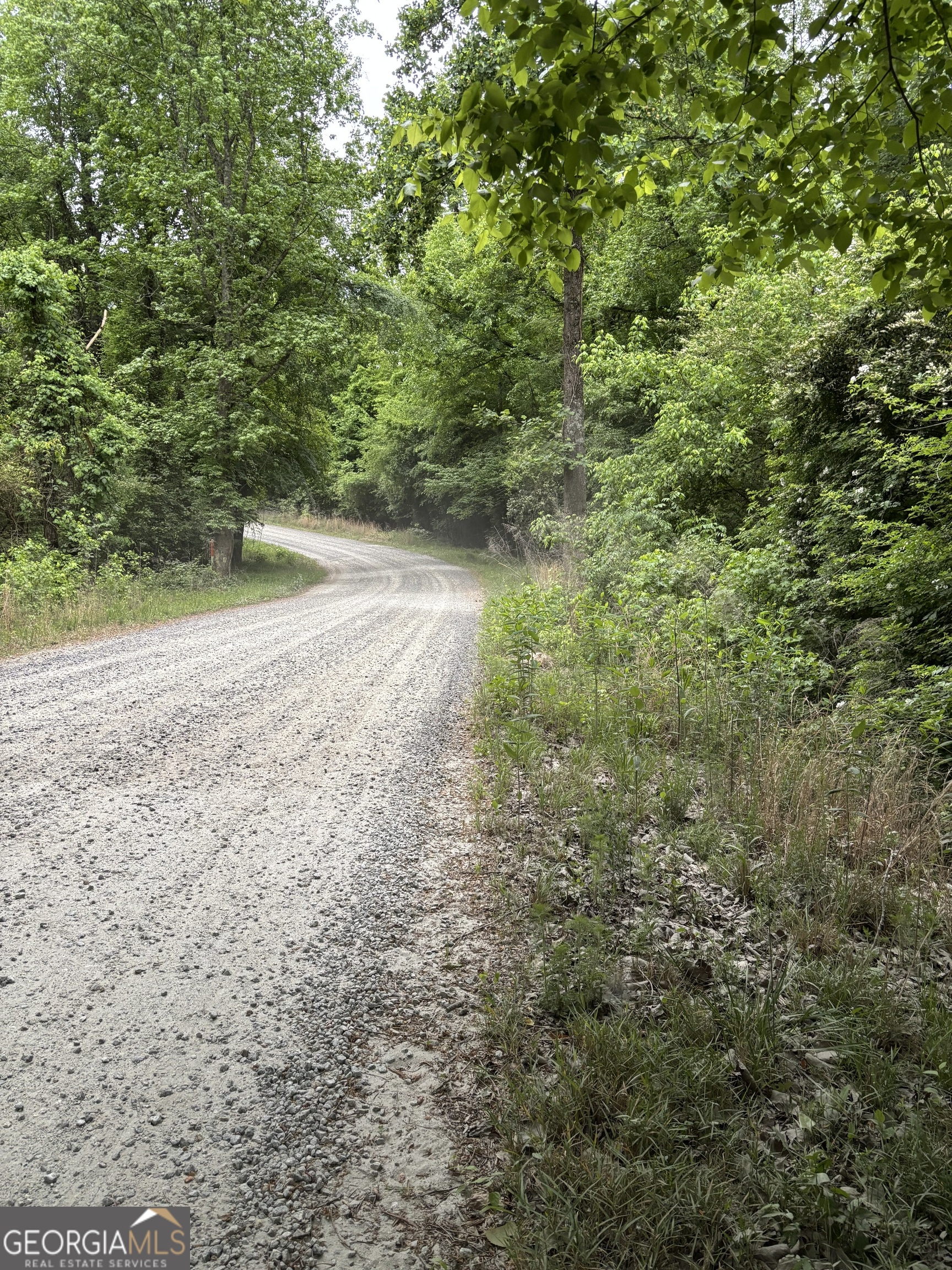 0 Bennett Road Homer, GA 30547 - Photo 4 of 9