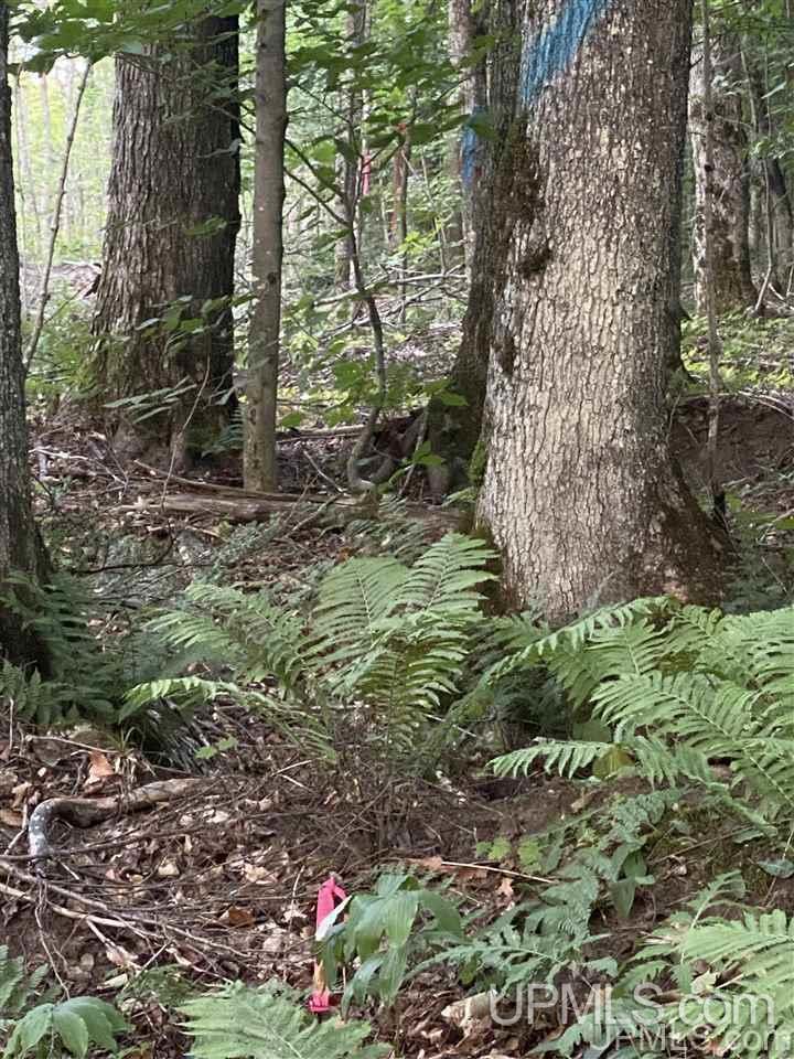 Tbd Rosemund Road Shingleton, MI 49884 - Photo 2 of 6