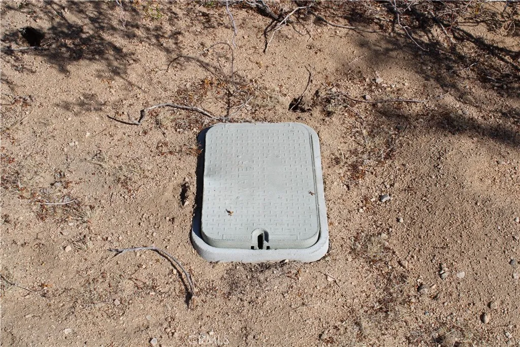 63480 Walpi Joshua Tree, CA 92252 - Photo 11 of 13 a view of a dry plant in a backyard