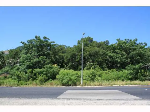 a view of a garden from a window