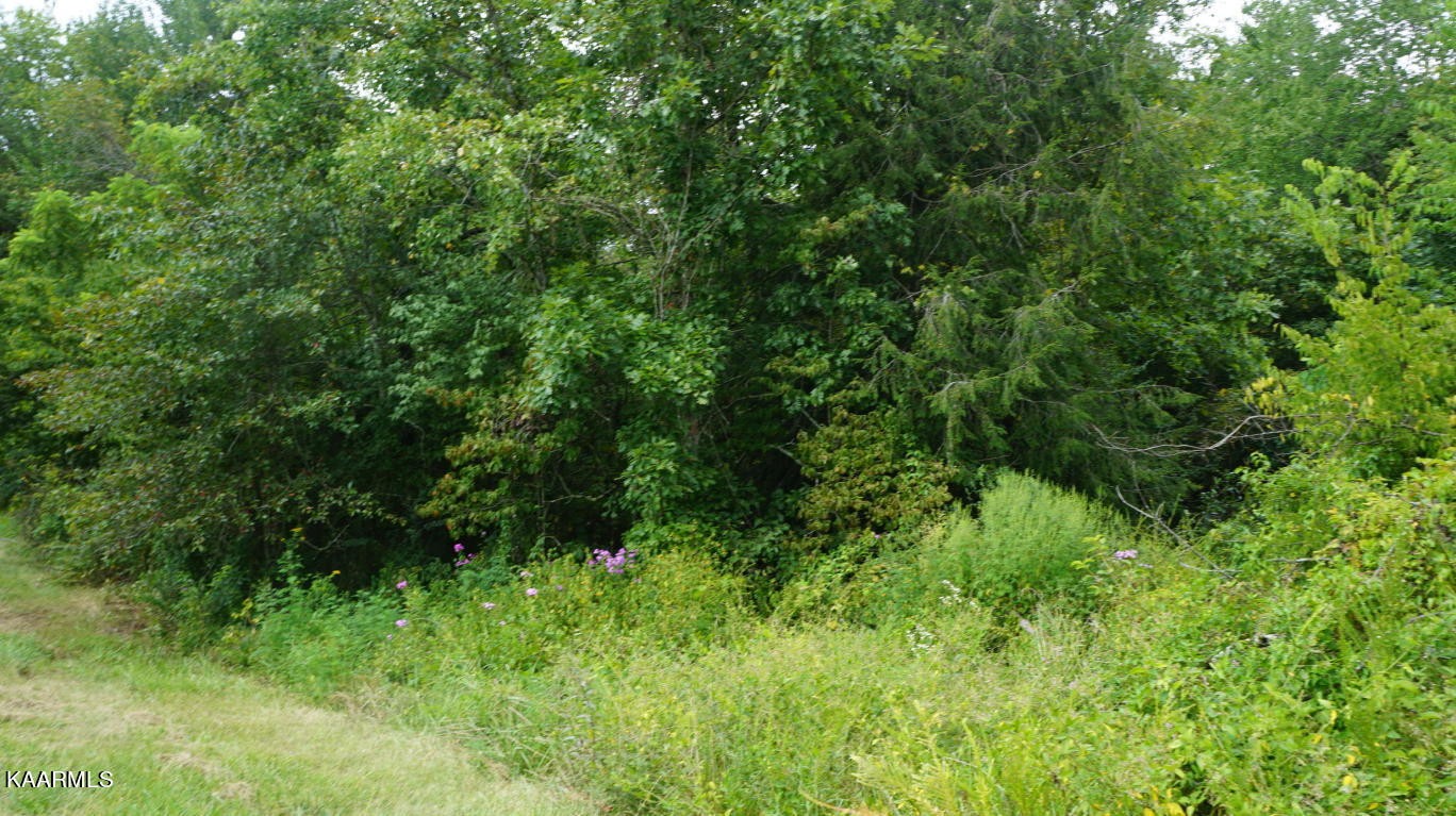 14902 Lantana Road Crossville, TN 38572 - Photo 15 of 16 Gallery Image 15
